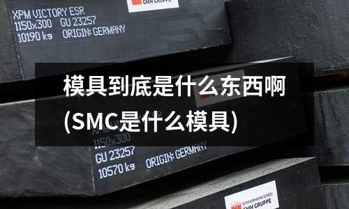 模具到底是什么東西啊(SMC是什么模具)