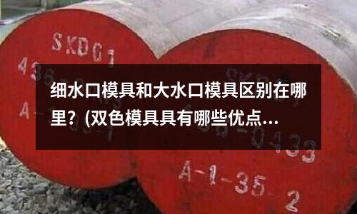 細水口模具和大水口模具區別在哪里？(雙色模具具有哪些優點？)