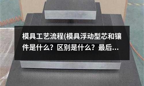 模具工藝流程(模具浮動型芯和鑲件是什么？區(qū)別是什么？最后通俗點)