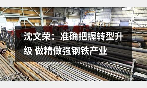 沈文榮：準(zhǔn)確把握轉(zhuǎn)型升級 做精做強鋼鐵產(chǎn)業(yè)