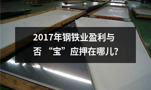 2017年鋼鐵業(yè)盈利與否 “寶”應(yīng)押在哪兒？