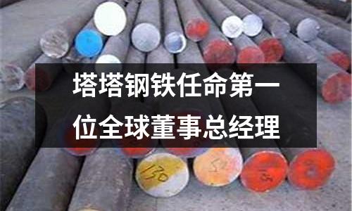 塔塔鋼鐵任命第一位全球董事總經理