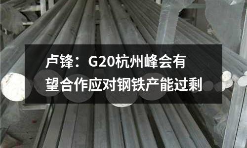 盧鋒：G20杭州峰會有望合作應對鋼鐵產能過剩