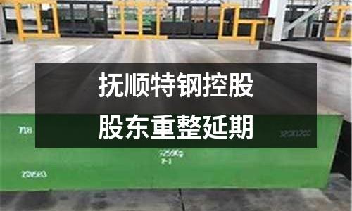 撫順特鋼控股股東重整延期