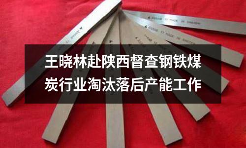 王曉林赴陜西督查鋼鐵煤炭行業淘汰落后產能工作