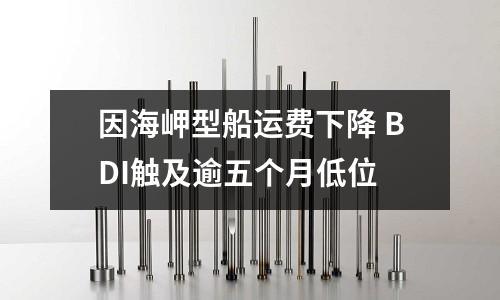 因海岬型船運費下降 BDI觸及逾五個月低位