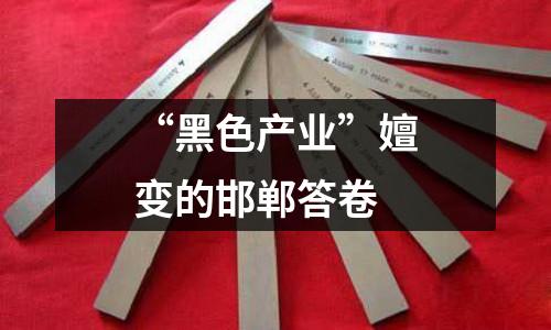 “黑色產(chǎn)業(yè)”嬗變的邯鄲答卷