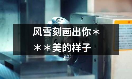 風(fēng)雪刻畫出你＊＊＊美的樣子