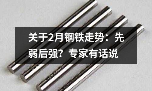 關于2月鋼鐵走勢：先弱后強？專家有話說