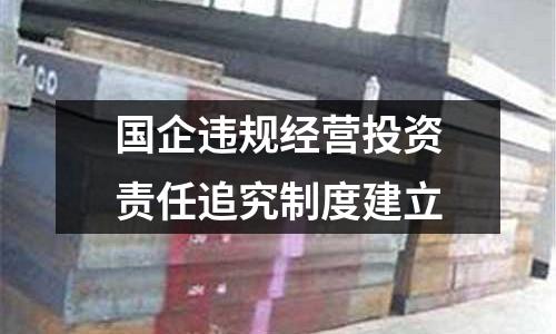 國(guó)企違規(guī)經(jīng)營(yíng)投資責(zé)任追究制度建立