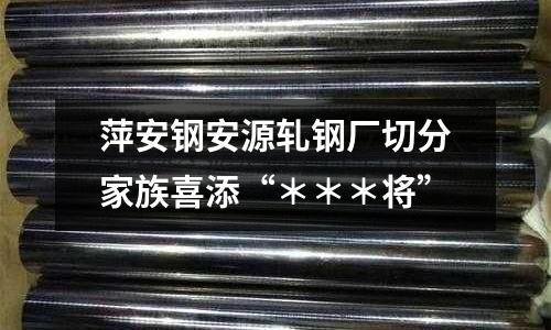 萍安鋼安源軋鋼廠切分家族喜添“＊＊＊將”