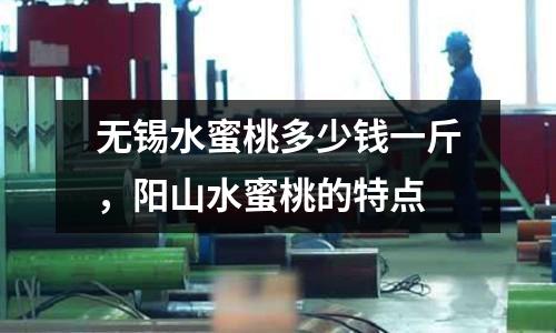 無錫水蜜桃多少錢一斤，陽山水蜜桃的特點