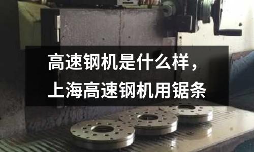 高速鋼機是什么樣，上海高速鋼機用鋸條