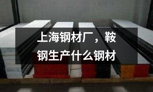 上海鋼材廠，鞍鋼生產(chǎn)什么鋼材