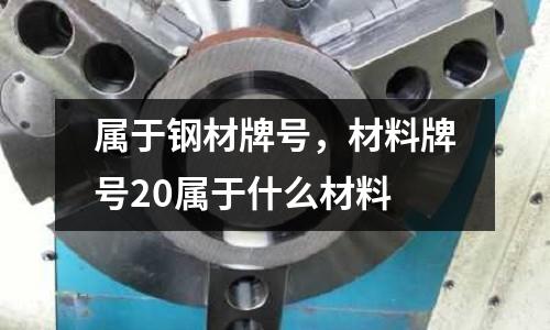 屬于鋼材牌號，材料牌號20屬于什么材料