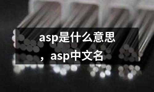 asp是什么意思，asp中文名
