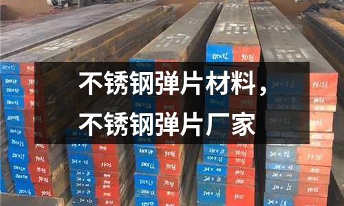 不銹鋼彈片材料，不銹鋼彈片廠家