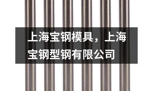 上海寶鋼模具，上海寶鋼型鋼有限公司