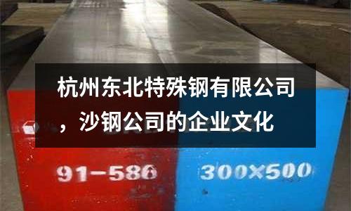 杭州東北特殊鋼有限公司，沙鋼公司的企業文化