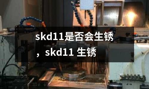 skd11是否會生銹，skd11 生銹