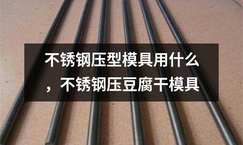 不銹鋼壓型模具用什么，不銹鋼壓豆腐干模具