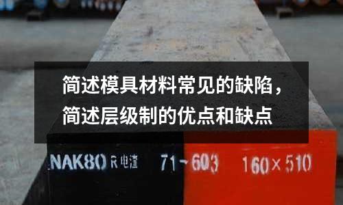 簡述模具材料常見的缺陷，簡述層級制的優點和缺點