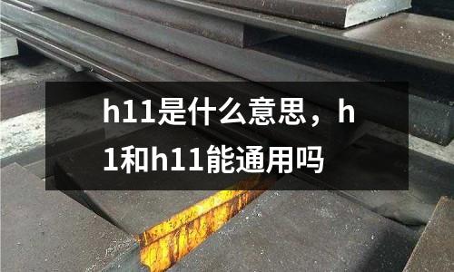 h11是什么意思，h1和h11能通用嗎
