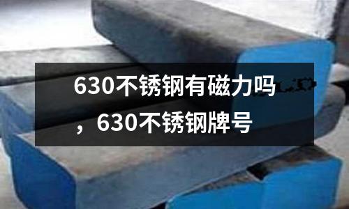 630不銹鋼有磁力嗎，630不銹鋼牌號