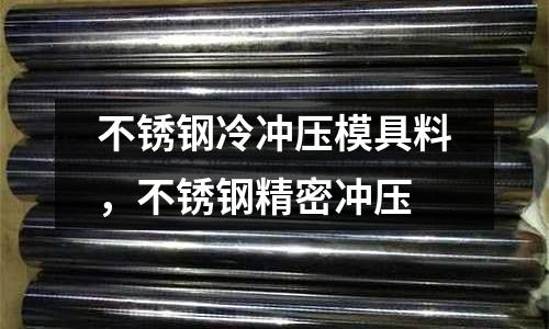 不銹鋼冷沖壓模具料，不銹鋼精密沖壓