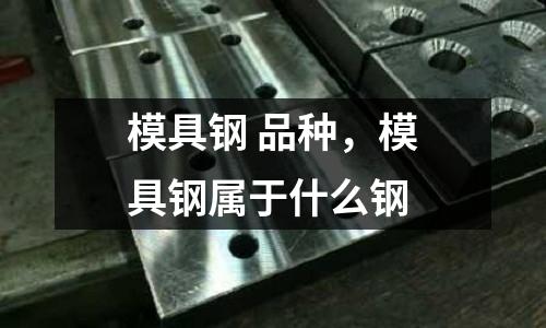 模具鋼 品種，模具鋼屬于什么鋼