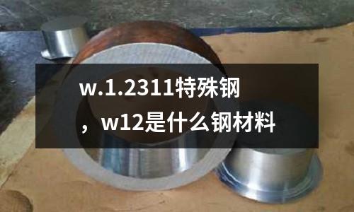 w.1.2311特殊鋼，w12是什么鋼材料