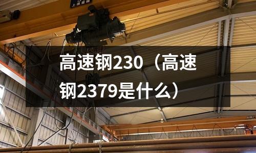 高速鋼230（高速鋼2379是什么）