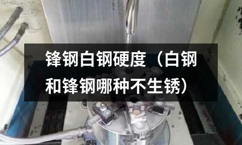 鋒鋼白鋼硬度（白鋼和鋒鋼哪種不生銹）
