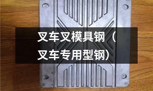 叉車叉模具鋼（叉車專用型鋼）