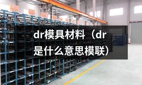 dr模具材料（dr是什么意思模聯）
