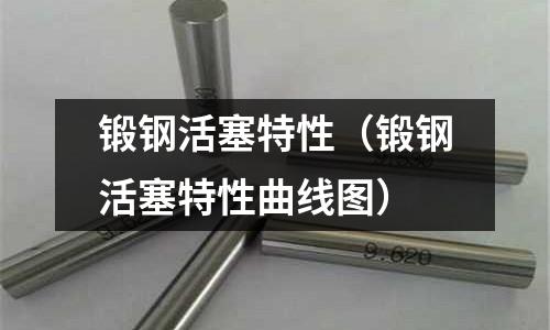 鍛鋼活塞特性（鍛鋼活塞特性曲線圖）