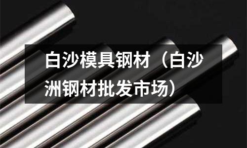 白沙模具鋼材（白沙洲鋼材批發市場）