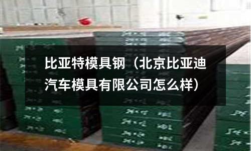 比亞特模具鋼（北京比亞迪汽車模具有限公司怎么樣）