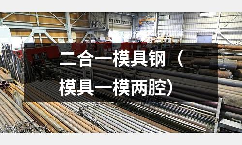 二合一模具鋼（模具一模兩腔）