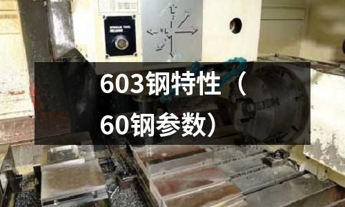 603鋼特性（60鋼參數）