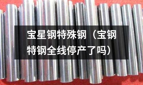寶星鋼特殊鋼（寶鋼特鋼全線停產了嗎）