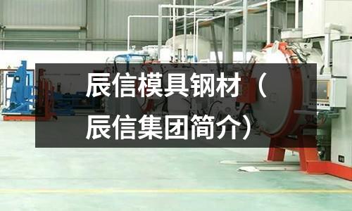 辰信模具鋼材（辰信集團簡介）