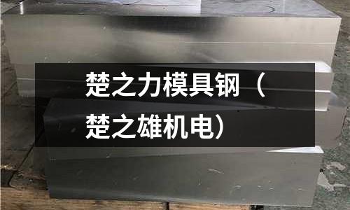 楚之力模具鋼（楚之雄機電）