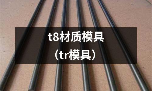 t8材質模具（tr模具）