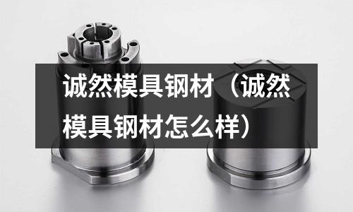 誠然模具鋼材（誠然模具鋼材怎么樣）