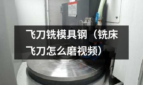 飛刀銑模具鋼（銑床飛刀怎么磨視頻）