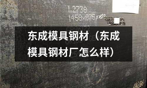 東成模具鋼材（東成模具鋼材廠怎么樣）
