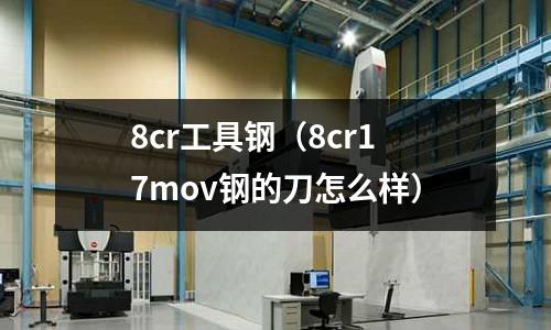 8cr工具鋼（8cr17mov鋼的刀怎么樣）
