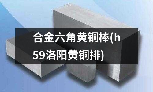 合金六角黃銅棒(h59洛陽黃銅排)