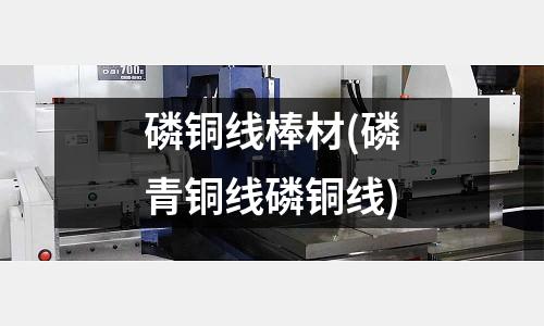 磷銅線棒材(磷青銅線磷銅線)